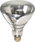 FLOODL LAMP 120BR-40 130V