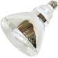 COMPACT FLUORESCENT LAMP INDOOR/OUTDOOR FLOOD INTERGRAL 120 VOLT